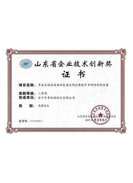 山東省企業(yè)技術(shù)創(chuàng)新獎