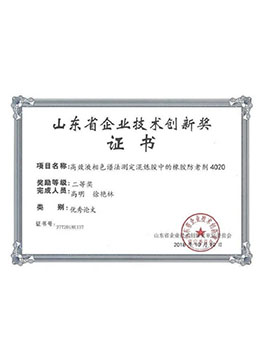 山東省企業(yè)技術(shù)創(chuàng)新獎(jiǎng)