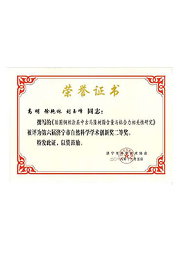 濟(jì)寧市自然科學(xué)學(xué)術(shù)創(chuàng)新獎(jiǎng)